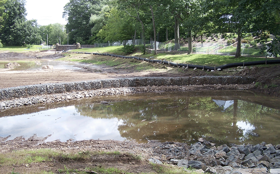 Wrapping Up At Stanley Quarter Park Pond