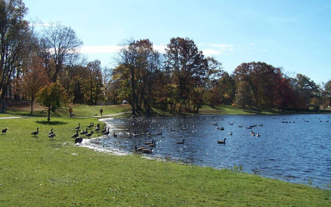 Stanley Quarter Pond